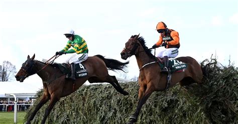 racing post grand national runners 2023|Grand National 2023 runners: full list of horses racing this year.